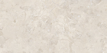 grey color natural marble texture design with polished finishの写真素材