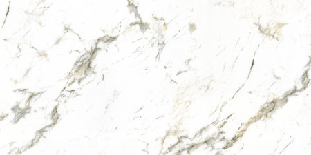 white color polished marble design with dark natural veins original marble texture design high resolution imageの写真素材