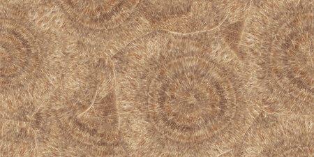 brown color design rustic finish wall paper and wall tiles imageの写真素材