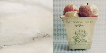 wall tiles fruits design pattern for wallpaper ceramic tile textureの写真素材