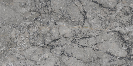 grey color with black natural veins marble designの写真素材
