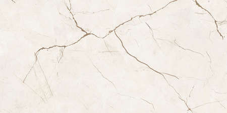 Calcutta Crestola Tedeschi marble with polished finishの写真素材