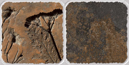 brown and grey color floral design texture emboss effect use for wall tiles and wall paperの写真素材