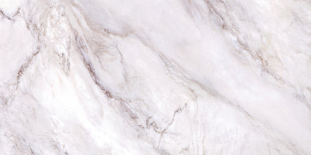 Calcutta Borghini polished finish Marble design use for wall floor tiles and wallpaperの写真素材