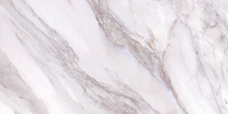 Calcutta Borghini polished finish Marble design use for wall floor tiles and wallpaperの写真素材