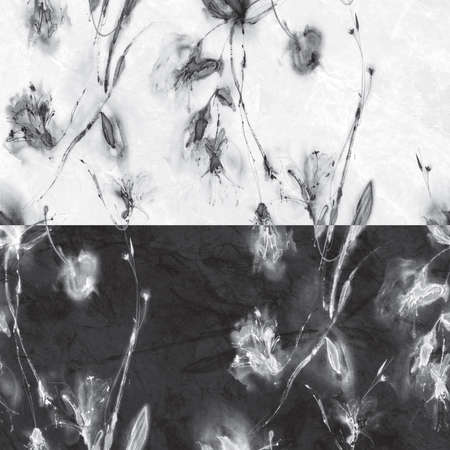 black and white floral design wall paper image in high resolutionの写真素材
