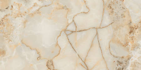 beige color polished natural marble design with natural veins use for wall and floor tilesの写真素材