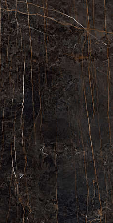 brown color natural marble design with natural texture and veins use for wall tiles and wall paper designの写真素材