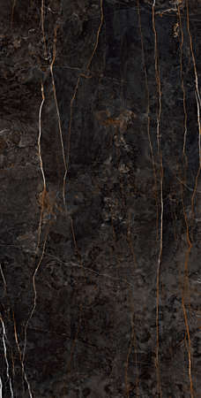 brown color natural marble design with natural texture and veins use for wall tiles and wall paper designの写真素材