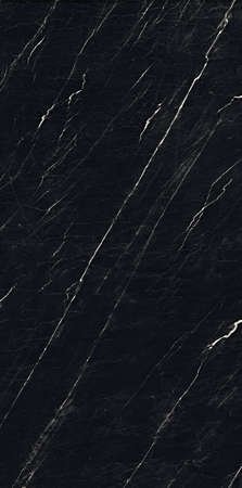 Nero Marquina marble design with polished finish with white veins use for wall and floor tiles applicationsの写真素材