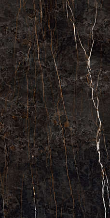 brown color natural marble design with natural texture and veins use for wall tiles and wall paper designの写真素材