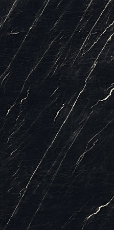 Nero Marquina marble design with polished finish with white veins use for wall and floor tiles applicationsの写真素材