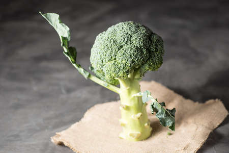 raw broccoli bouquet, on a piece of burlap and on a tableの写真素材