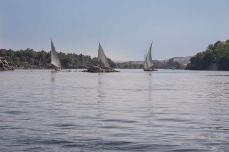 Feluccas on the Nile river in aswan Egypt on a hot dayの写真素材