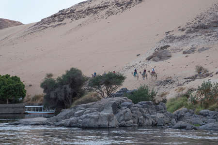 Camello on the banks of the Nile River as it passes through the Nubian People in Aswan, Egypt, Afriaca. Huge and trained animals.の写真素材