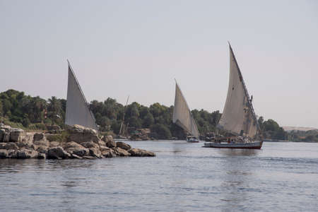 Feluccas on the Nile river in aswan Egypt on a hot dayのeditorial素材