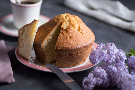 Homemade sponge cake with cream, flour, sugar, eggs and yeast. Delicious home made food.
