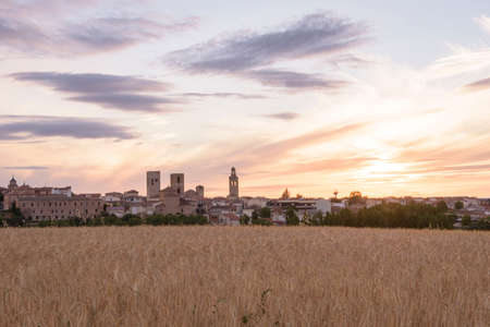Views from the hill with a cereal field in the first term of Arevalo, Avila, Castilla Leon, Spain,...