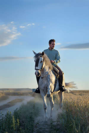 Rider on his horse in the field surrounded by cereal. Practicing horse riding.の写真素材