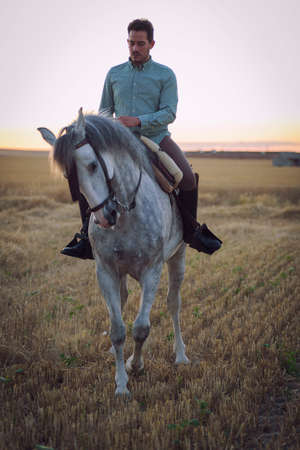 Horseback rider walking viewed from the front in the field on a straw stubble. Horse riding.の写真素材