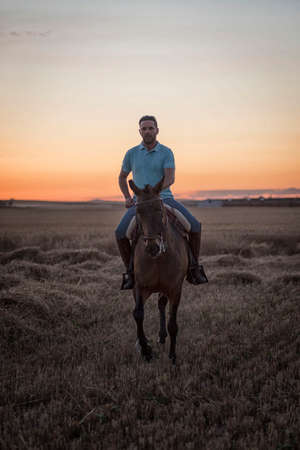 Horseback rider walking viewed from the front in the field on a straw stubble. Horse riding.の写真素材