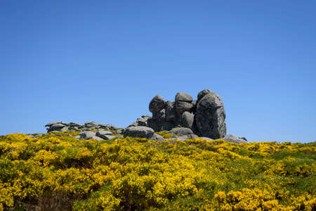 Mountain goat on some stones in the Sierra de Gredos, Avila, Castilla Leon, Spain, Europe. Natural scene.の写真素材