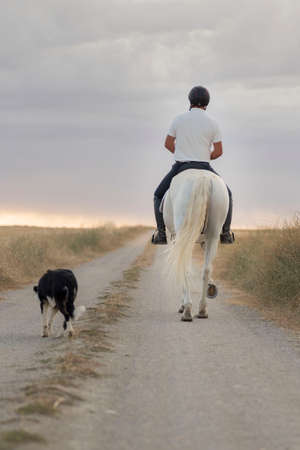 Rider on horseback walking along a path with his white horse in the company of his dog. Horse riding...