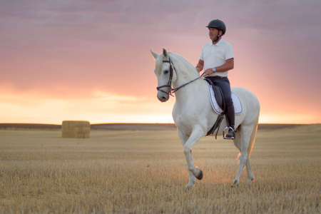 Rider on horseback walking through a mowed cereal field with his white horse in the company of his dog. Horse riding in the open air.の写真素材