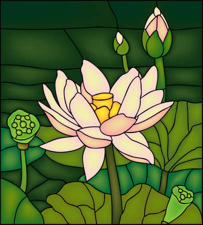 Lily in the pond, stained glass winowのイラスト素材