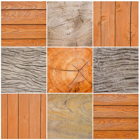 Set of wood textures, backgroundsの写真素材