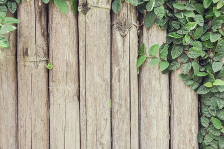 wooden panels with ivy growing, Vintage tone filterの写真素材