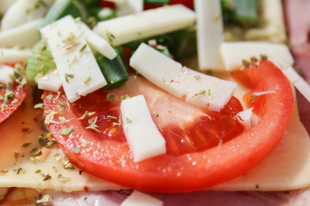 Tomato with cheese ham and green onionの写真素材