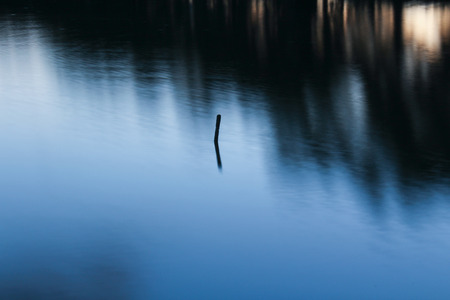 Wooden trunk in water in pond, long exposure, close up photo, Czech landscapeの写真素材