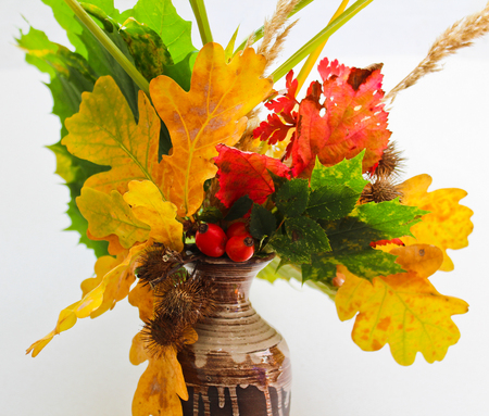 Fall flower in vase made from leaves brier and thistleの写真素材