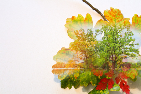 Fall double exposure in colorful leaves and treesの写真素材
