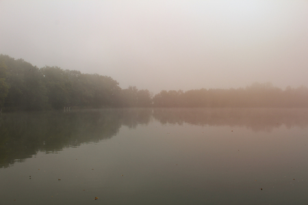 Trees on pond dam in misty fog with orange light, Czech landscapeのeditorial素材