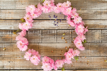 Red cherry blossom designed to circle on wood texture の写真素材