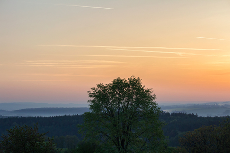 Tree and distant hill in sunrise. Czech landscapeの写真素材