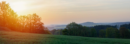 Trees and meadow in sunrise. Czech landscapeの写真素材
