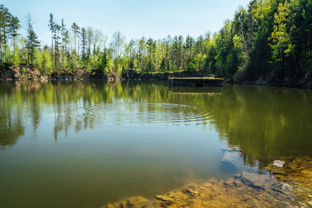Small swamped quarry with water, trees and blue sky, Czech republicの写真素材