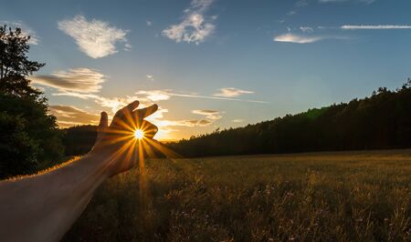 Man hand catch sun at sunset on field with forest and sky. Czech landscapeの写真素材