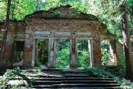 Old building ruing in forest in summer, Novohradske mountain, Czech landscapeの写真素材