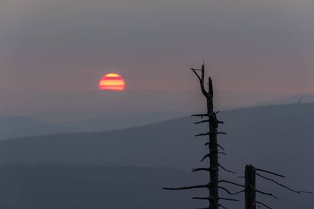 Sunset with distant hill and tree from Tristolicnik. Outdoor and landscape background. Sumava National Park and Bavarian Forest, Czech republic and Germanyの写真素材