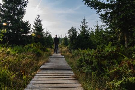 Young man tourist in white cap walking on wood footpath in landscape with trees, Sumava National Park and Bavarian Forest, Czech republic and Germanyの写真素材