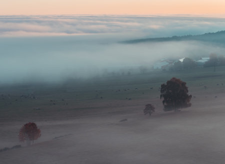 Aerial view to autumn misty trees in fog and sunrise sky, Czech landscapeの写真素材