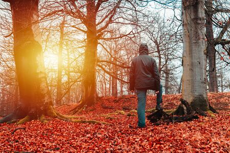 Young man standing in jacket and pants with trees, red leaves and sun.の写真素材