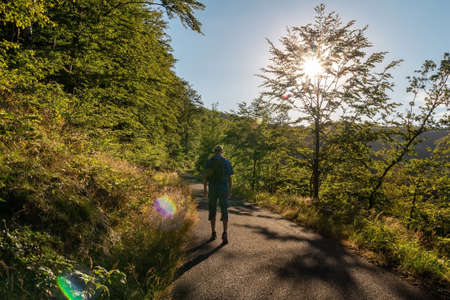 Young man with backpack walking on road in ore mountain forest at sunset. Czech landscapeの写真素材