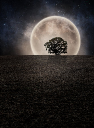 Tree silhouette on field horizon again shine moon and night cloudy sky with stars. Photo manipulation.の写真素材