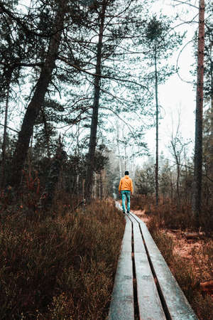 Young caucasian man in yellow jacket from back walking on forest wood path. Czech landscape nature reserve Cervene Blatoの写真素材