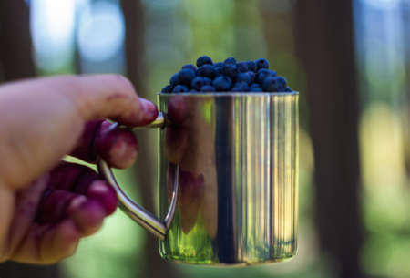 Man hand holding tin cup full of blueberry again blured forest backgroundの写真素材